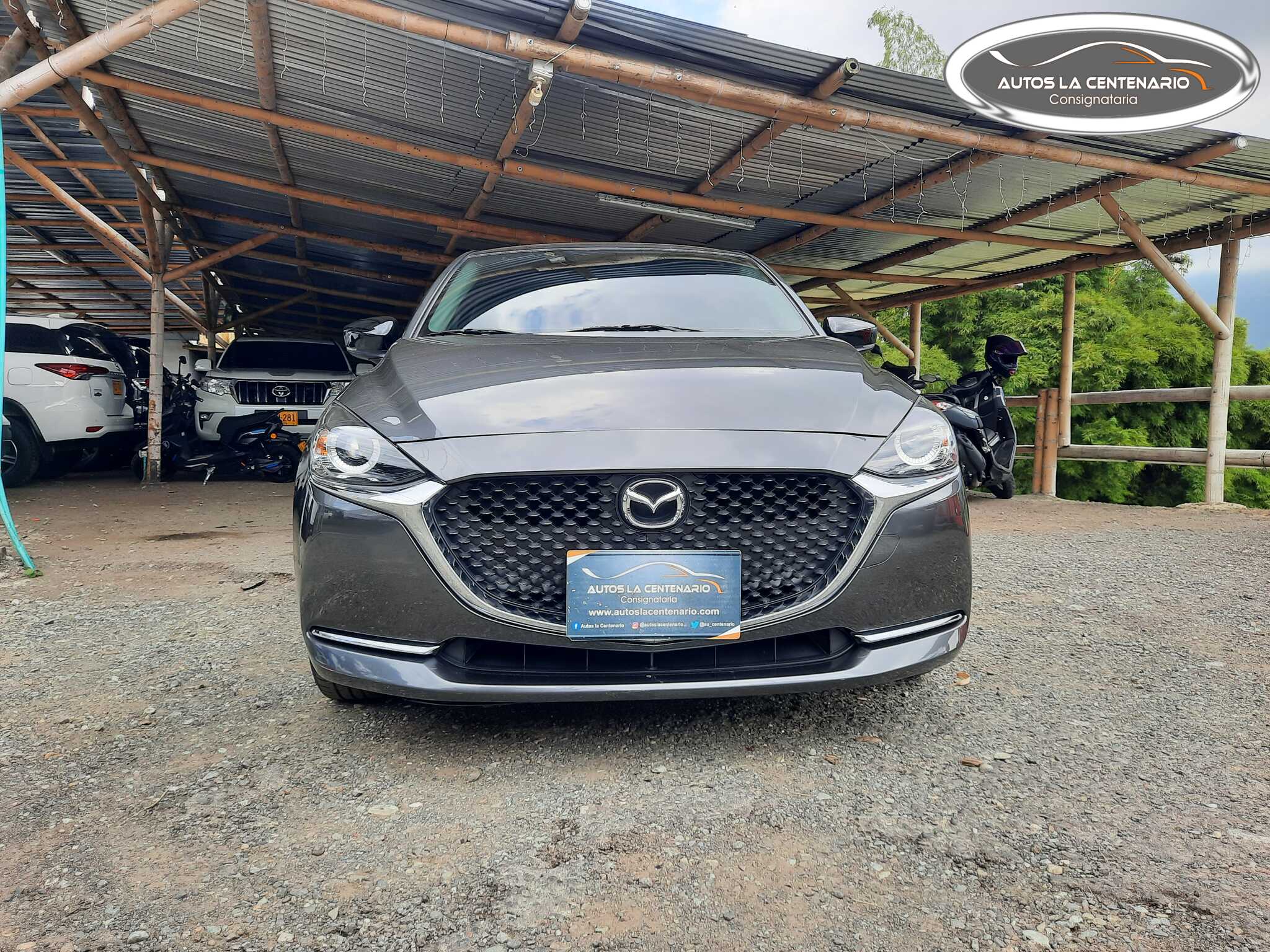 Mazda-TOURING CARBON EDITION